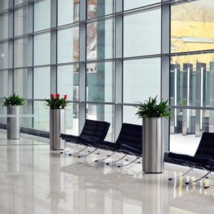 Roses Pro Cleaning Las Vegas